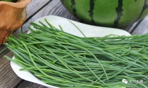 成县吃瓜网红,揭秘当地美食文化 第2张 成县吃瓜网红,揭秘当地美食文化 第2张